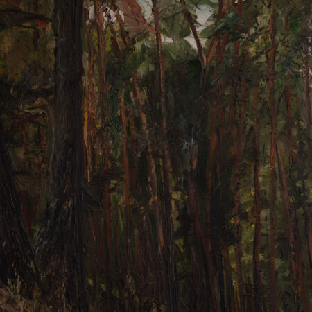 Woods at Efanovo. 70x50cm. Oils on canvas, 2008.